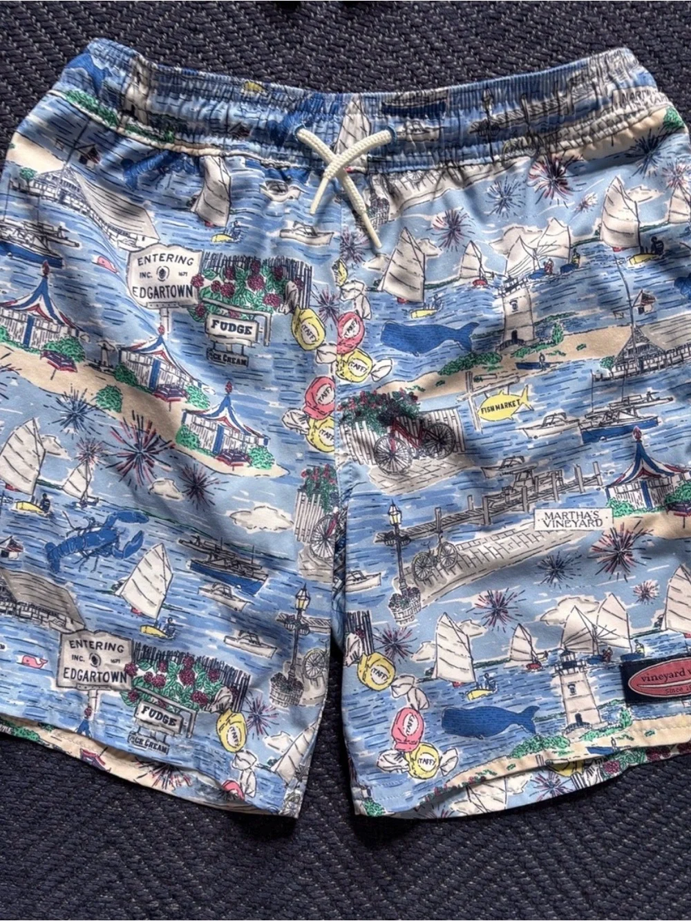Vineyard Vines Light Blue Nautical Print Boys Swim Trunks 8/10